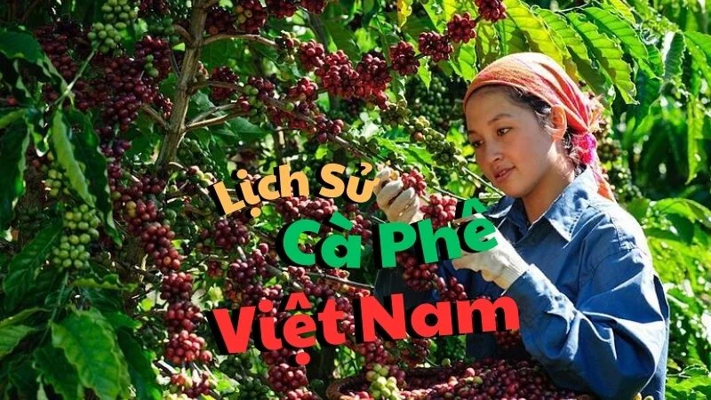 Lịch Sử Cà Phê Việt Nam